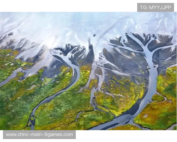 加拿大落入节奏差异明显的小组，出线预测呈现两极